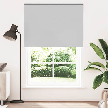 Vidaxl rolgordijn verduisterend 165x210 cm stofbreedte 161,6 cm