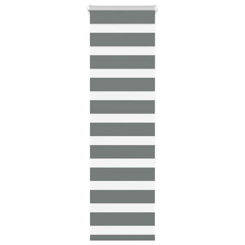 Load image into Gallery viewer, Vidaxl zebra rolgordijn 40x150 cm stofbreedte 35,9 cm donkergrijs

