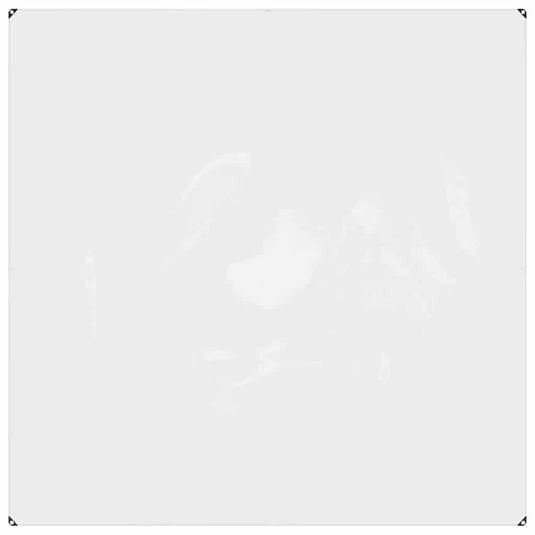 Vidaxl doorzichtig afdekzeil met ogen 2x2 m pvc