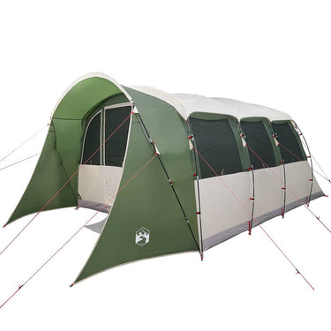 Vidaxl gezinstent met dak groen en wit 576 x 325 x 213 cm