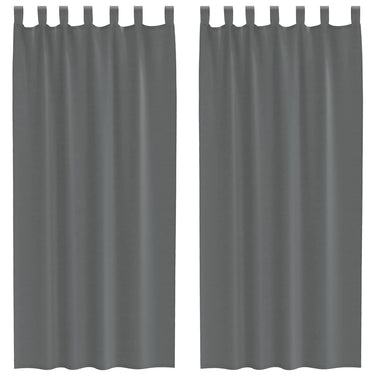 Vidaxl gordijnen voile met lussen 2 st 140x245 cm donkergrijs