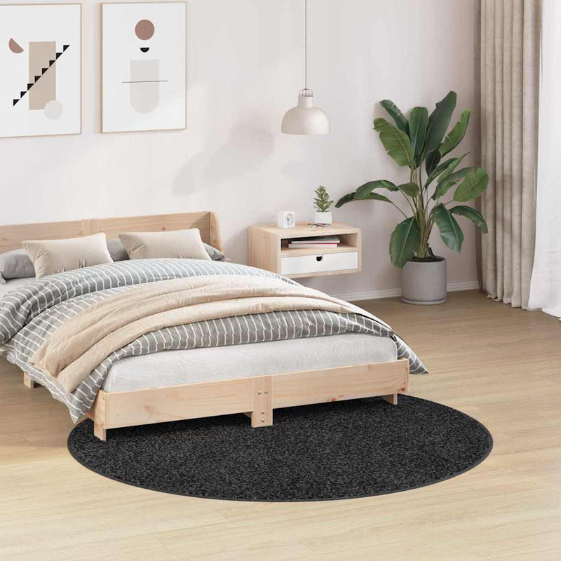 Load image into Gallery viewer, Vidaxl antislip shaggy tapijt donkergrijs 160 x 160 cm pp
