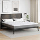 Vidaxl matrastopper wit 180 x 200 cm jacquard stof