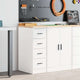 Vidaxl garagekast 30x51x85 cm massief grenenhout wit