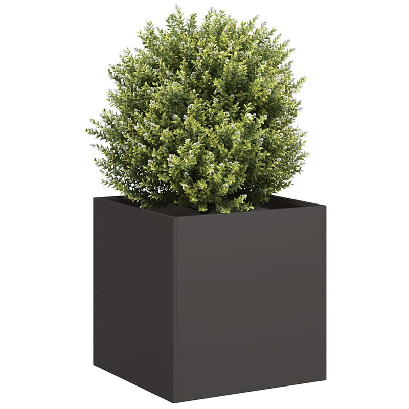 Load image into Gallery viewer, Vidaxl plantenbak 40x40x40 cm koudgewalst staal zwart

