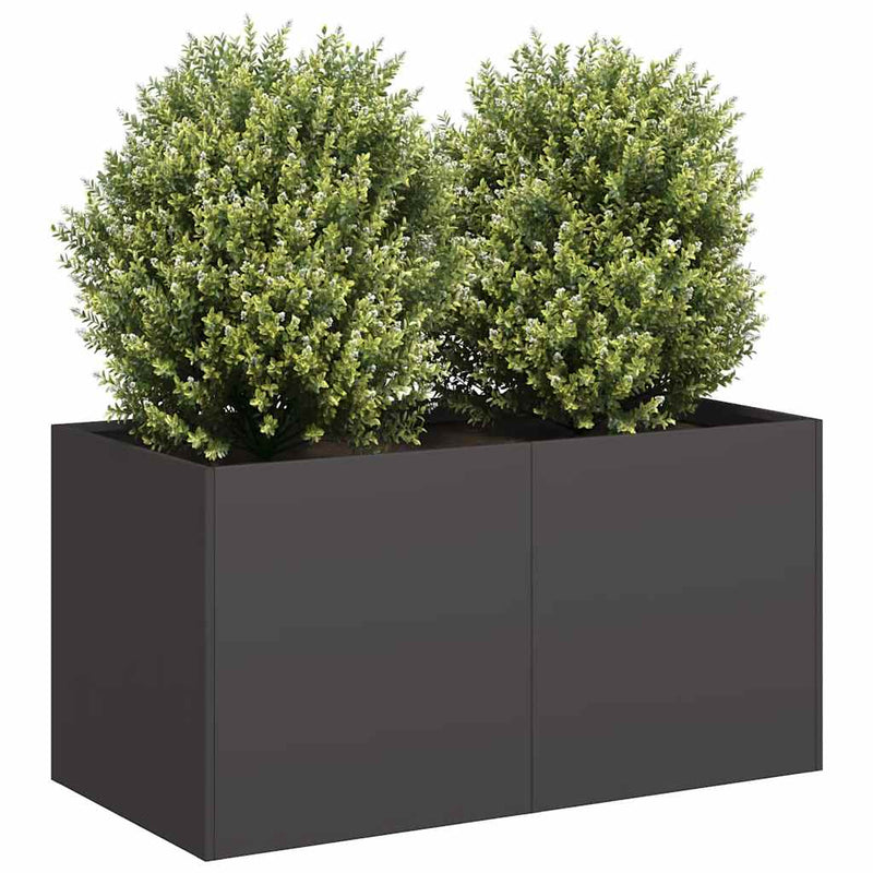 Load image into Gallery viewer, Vidaxl plantenbak 80x40x40 cm koudgewalst staal zwart
