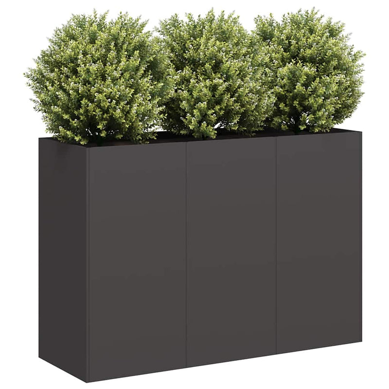Load image into Gallery viewer, Vidaxl plantenbak 120x40x80 cm koudgewalst staal zwart
