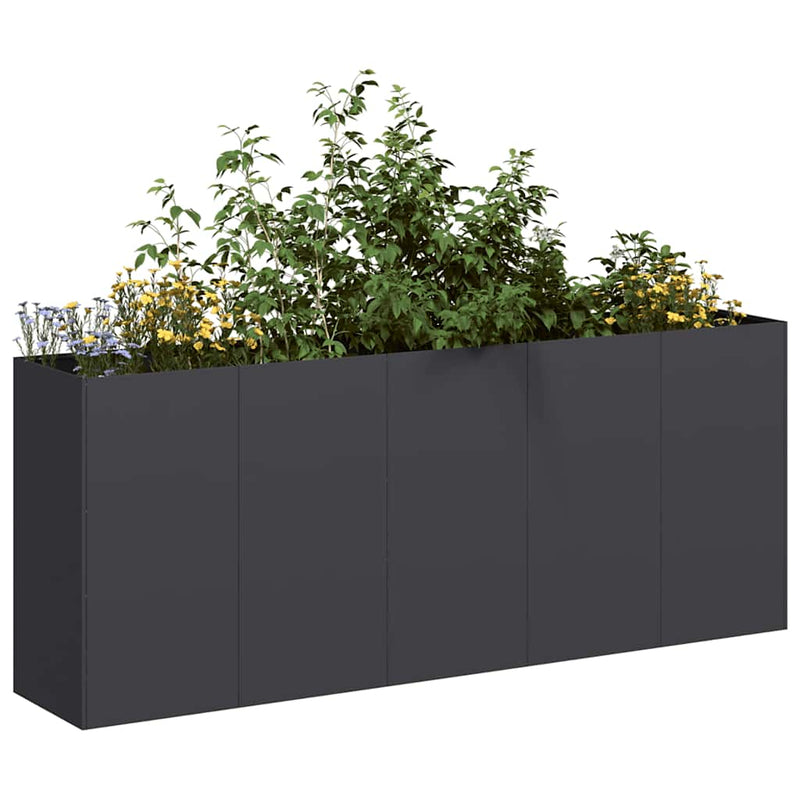 Load image into Gallery viewer, Vidaxl plantenbak 200x40x80 cm koudgewalst staal zwart
