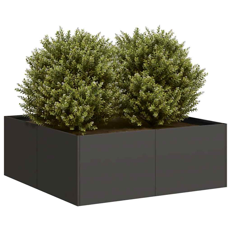Load image into Gallery viewer, Vidaxl plantenbak 80x80x30 cm staal zwart
