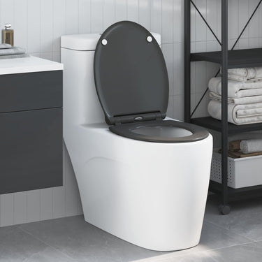 Vidaxl toiletzitting antraciet 47 x 37,5 x 3,8 cm duroplast