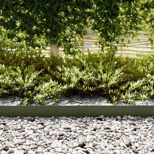 Vidaxl tuinrand 30 pcs olijf groen 100 x 0.05 x 20 cm