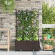 Vidaxl tuin bloempot 2 pcs bruin 80 x 40 x 143 cm staal