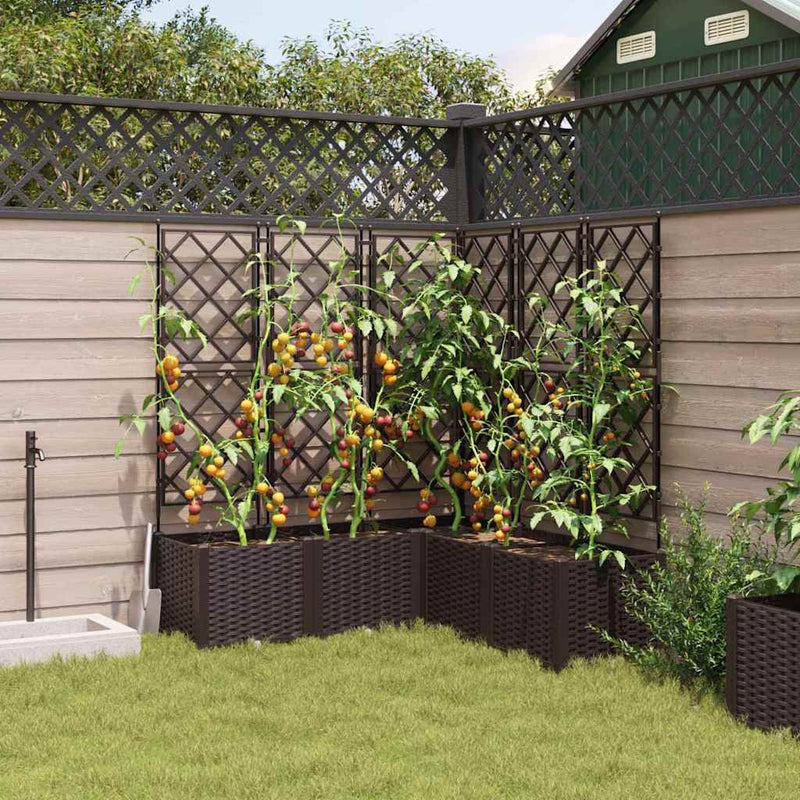 Load image into Gallery viewer, Vidaxl tuin bloempot 5 pcs bruin 120 x 120 x 143 cm staal

