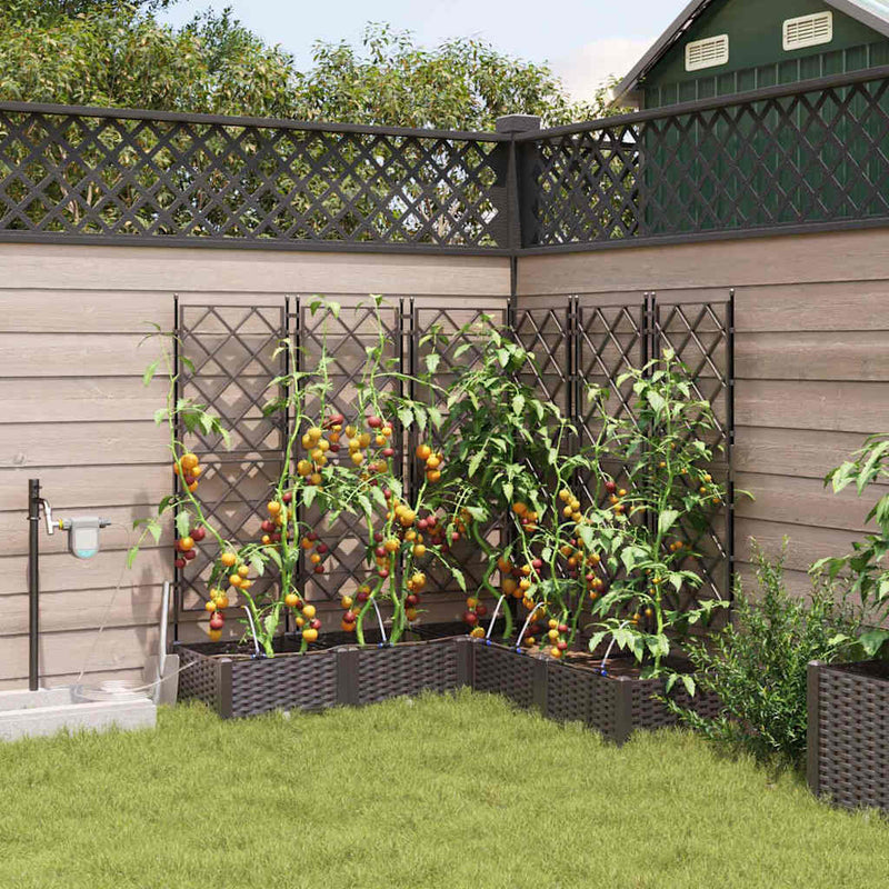 Load image into Gallery viewer, Vidaxl tuin bloempot 5 pcs bruin staal
