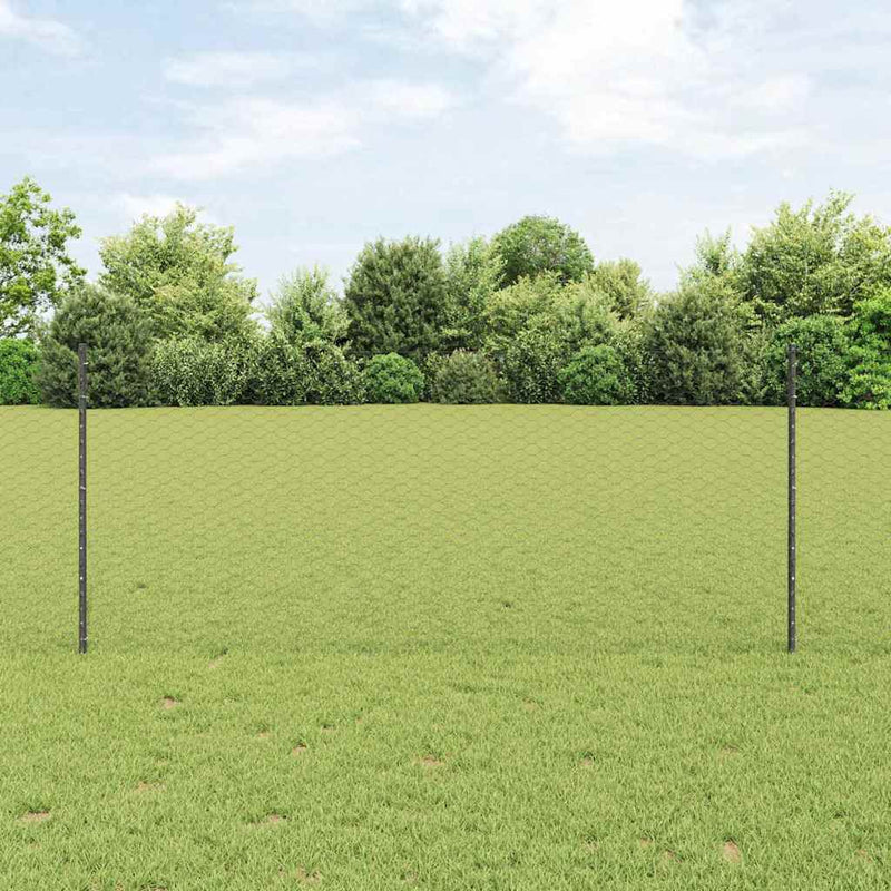 Load image into Gallery viewer, Vidaxl hek met paal grijs 1 x 10 m staal en pvc
