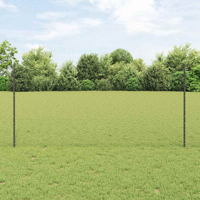 Load image into Gallery viewer, Vidaxl hek met paal grijs 1,2 x 10 m staal en pvc
