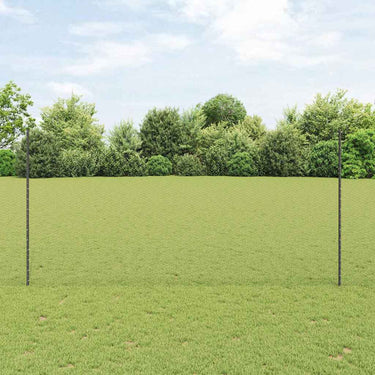 Vidaxl hek met paal grijs 1,6 x 10 m staal en pvc