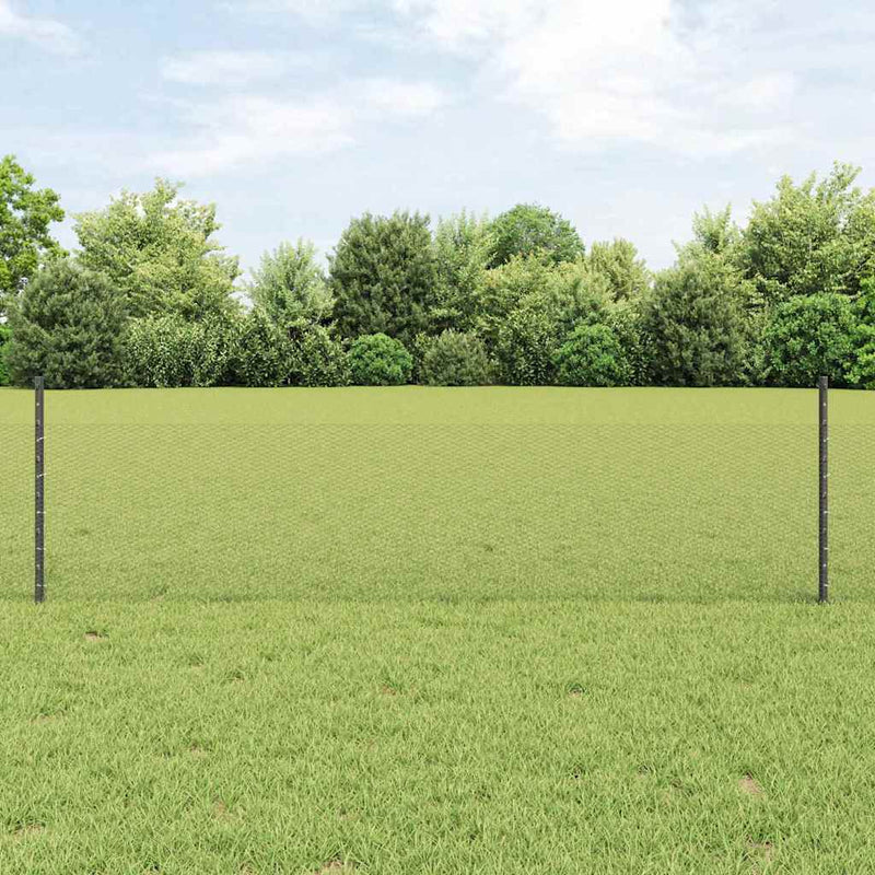 Load image into Gallery viewer, Vidaxl hek met paal grijs 0,5 x 25 m staal
