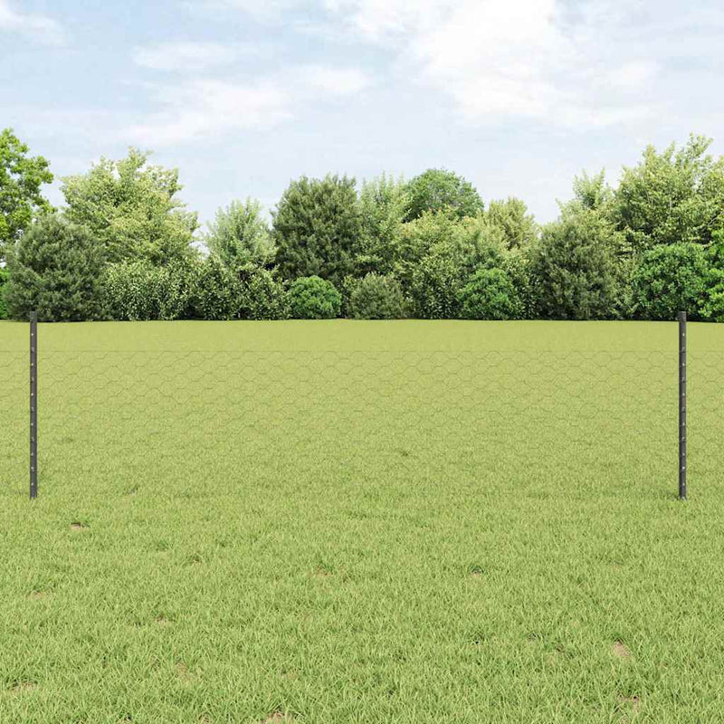 Load image into Gallery viewer, Vidaxl hek met paal grijs 0,5 x 25 m staal
