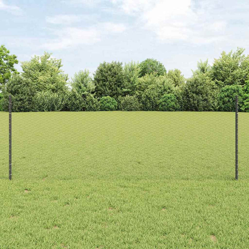 Load image into Gallery viewer, Vidaxl hek met paal grijs 0,8 x 25 m staal
