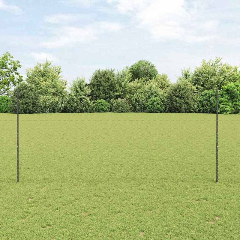 Load image into Gallery viewer, Vidaxl hek met paal grijs 1,4 x 25 m staal
