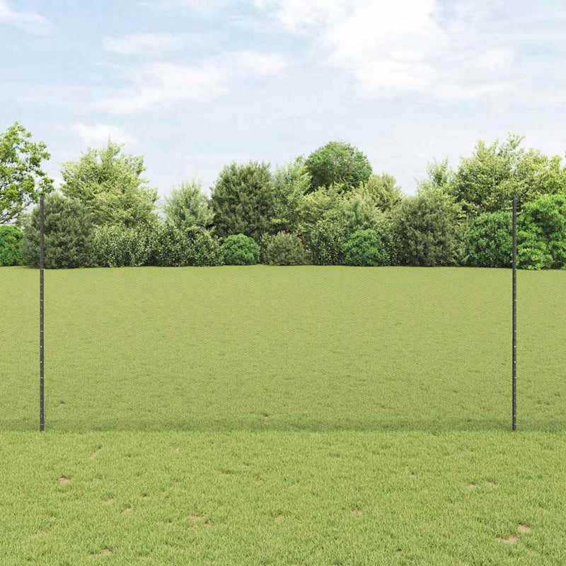 Load image into Gallery viewer, Vidaxl hek met paal grijs 1,6 x 25 m staal en pvc
