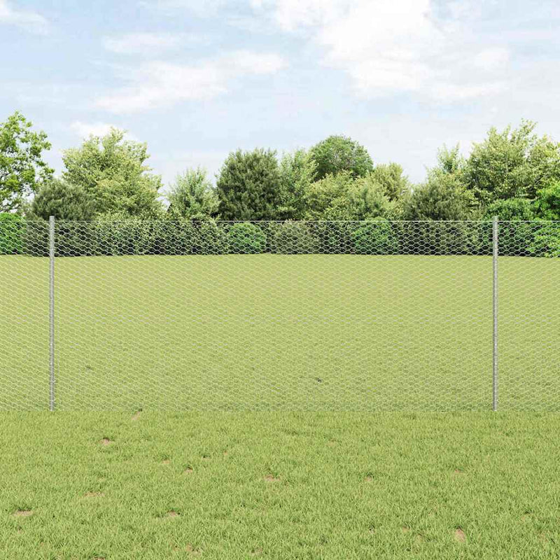 Load image into Gallery viewer, Vidaxl hek met paal zilver 1 x 10 m staal
