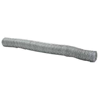 Vidaxl hexagon hek zilver 1,2 x 50 m gegalvaniseerd staal