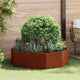 Vidaxl plantenbak roestig 120 x 120 x 35 cm cortenstaal