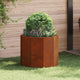 Vidaxl plantenbak roestig 60 x 60 x 50 cm cortenstaal