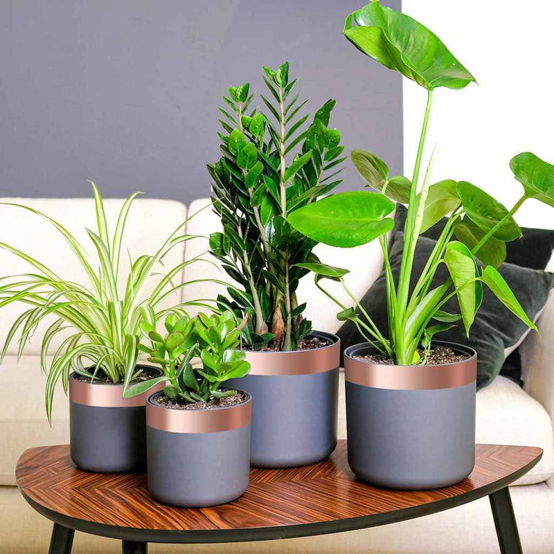 Load image into Gallery viewer, Vidaxl kopertape 6 pcs koper 2000 x 5 cm koper
