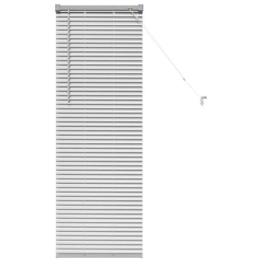 Vidaxl venetiaanse jaloezieën zilver 130 x 50 cm aluminium
