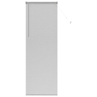 Vidaxl venetiaanse jaloezieën zilver 220 x 70 cm aluminium