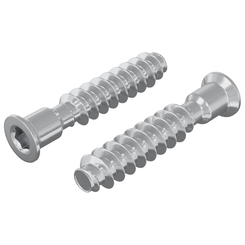 Load image into Gallery viewer, Vidaxl hoofdkapbout 2 pcs zilver m7 x 40 mm staal
