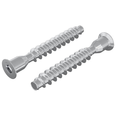 Vidaxl bevestigingsschroeven 2 pcs zilver ø7 x 50 mm metaal