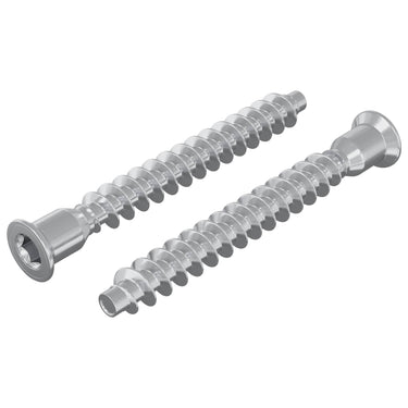 Vidaxl bevestigingsschroeven 2 pcs zilver ø7 x 58 mm metaal
