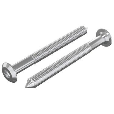 Vidaxl meubelschroeven 2 pcs zilver m6 x 60 mm staal