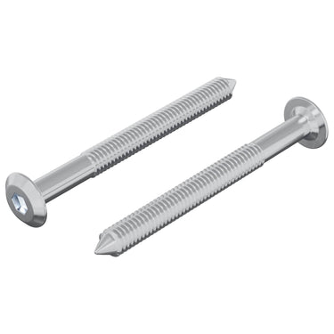 Vidaxl bout 2 pcs zilver m6 x 60 mm staal