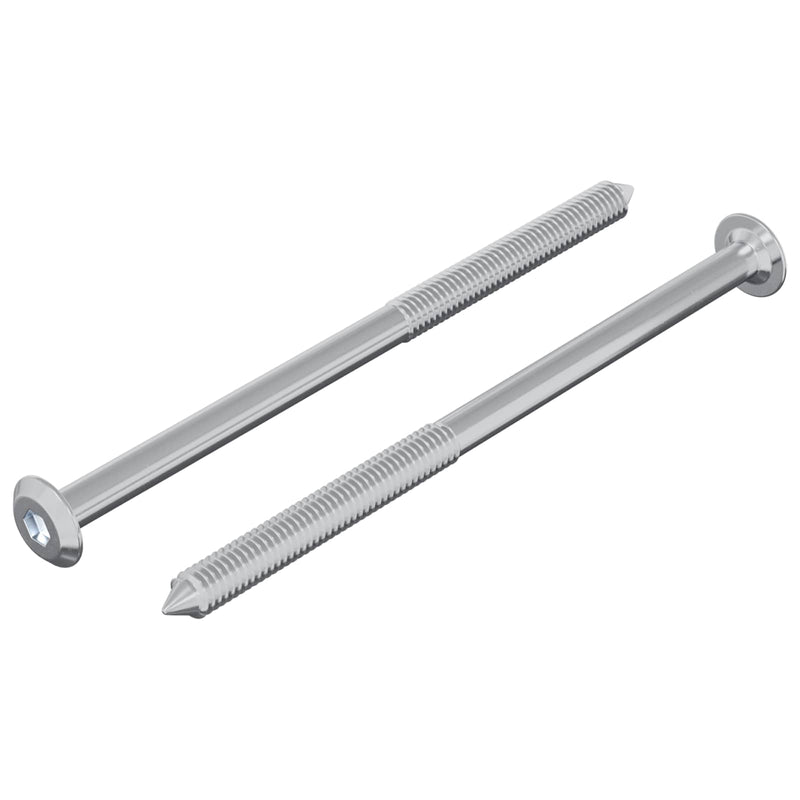 Load image into Gallery viewer, Vidaxl bout 2 pcs zilver m6 x 100 mm staal
