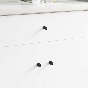 Vidaxl kastknoppen 2 pcs zwart m4 x 12 mm ijzer