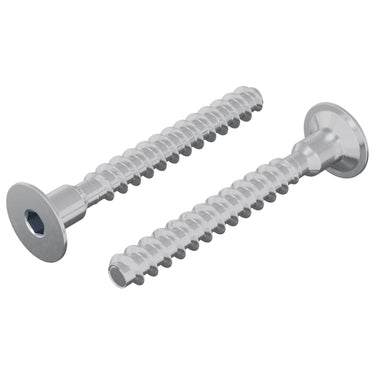 Vidaxl bout 2 pcs verzinkt 5 x 40 mm ijzer