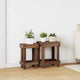 Vidaxl plantenstandaard 2 pcs bruin 70 x 11 x 27 cm mahoniehout