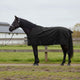 Vidaxl paardendeken donkergroen en zwart 115 cm polyester