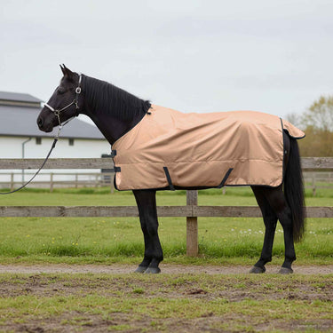 Vidaxl paardendeken cappuccino 165 cm polyester