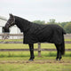Vidaxl paardendeken donkergroen en zwart 125 cm polyester