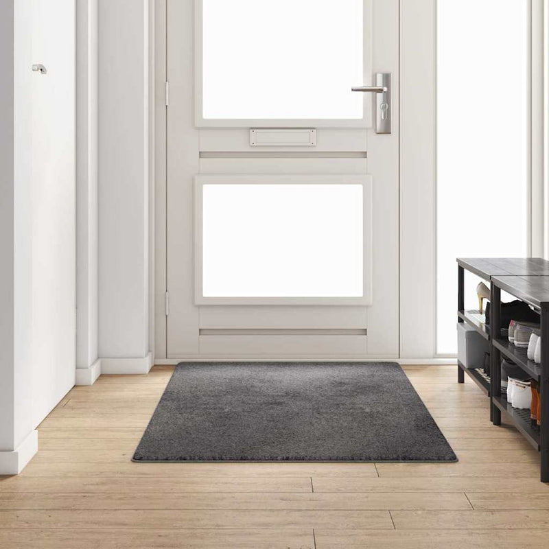 Load image into Gallery viewer, Vidaxl tapijt loper grijs 100 x 200 cm 100% polypropylene tuft

