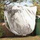 Vidaxl vorstbescherming plantenfleece covers 3 pcs wit 3 x 3,93 m