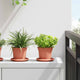 Vidaxl ronde bloempot 6 pcs baksteenrood ø 12,5 x 10 cm kunststof