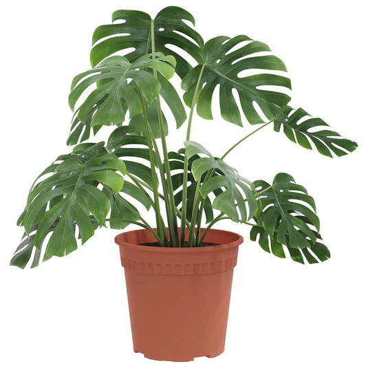 Vidaxl ronde bloempot 6 pcs baksteenrood ø 19 x 16 cm kunststof
