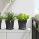 Vidaxl ronde bloempot 6 pcs zwart ø 19 x 16 cm kunststof